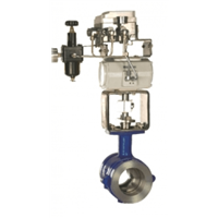 ecoflo-VBV V-Ball Control Valve